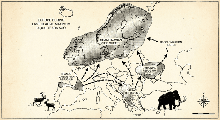 Ледниковые рефугиумы Европы 20 000 лет назад: франко-кантабрийский, балканский и украинский