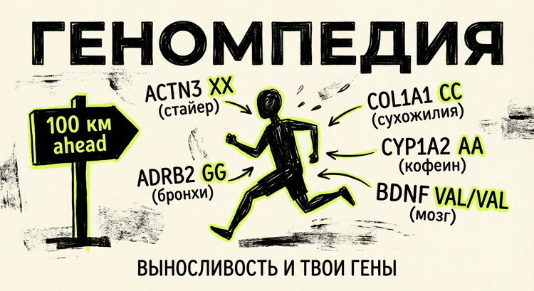 Карта спортивной генетики