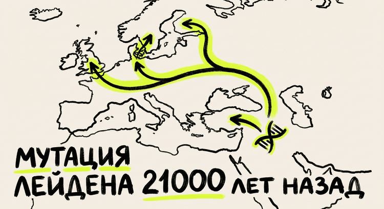 Происхождение мутации Лейден