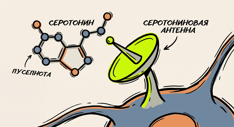 Серотониновая антенна