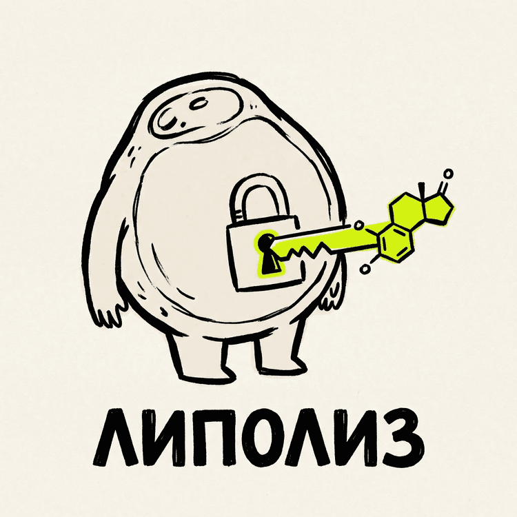 Адреналин открывает жировую клетку